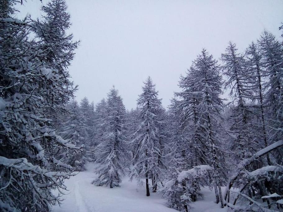 Studio Au Coeur De Valberg A Proximite Des Pistes Εξωτερικό φωτογραφία