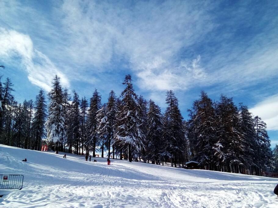 Studio Au Coeur De Valberg A Proximite Des Pistes Εξωτερικό φωτογραφία